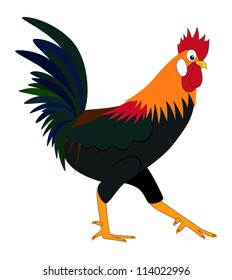 rooster on white background