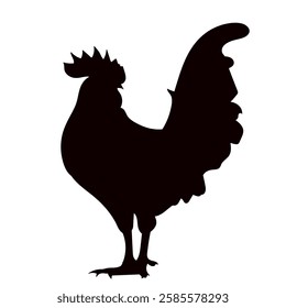 rooster on white background silhouette vector