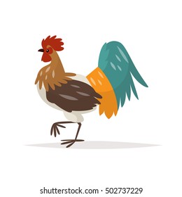 Rooster on a white background. The symbol of New Year 2017. Vector illustration flat design