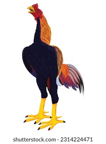the rooster on white background vector design