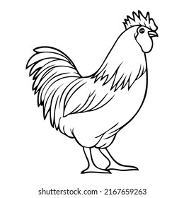 Rooster Outline Illustrationisolated On White Backgroundtop Stock ...