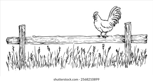 rooster perched on a wooden fence in black rural illustration