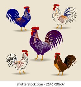 Rooster set character vector illustration. Isolated on white background.