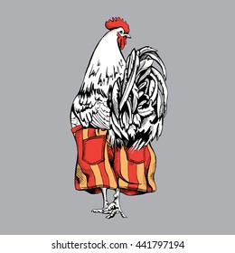 Rooster in a Shorts (Back side). Vector illustration.