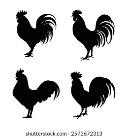 rooster sihhlouete vector design black