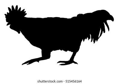 Rooster Silhouette