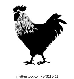 Rooster silhouette based on an original hand drawn illustration, object isolated on white