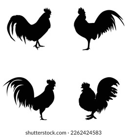 Rooster silhouette. Hen bird element illustration in simple flat style isolated on white background