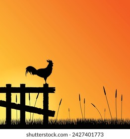 Rooster Silhouette on the Fence at Sunrise. Nature and domestic birds concept vector