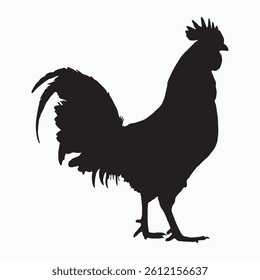 Rooster Silhouette Standing Pose Farm Animal Vector.