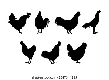 Rooster silhouette in various pose, design element for graphic design, logo, mascot, or as an illustration.