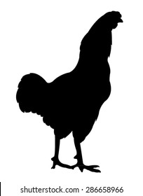 rooster silhouette vector