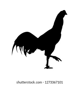 Download Similar Images, Stock Photos & Vectors of rooster icon ...