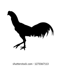 Download Free Png And Transparent Images Vector Fighting Rooster Png