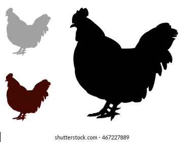 Rooster silhouette, vector illustration