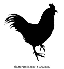 rooster silhouette - vector, illustration