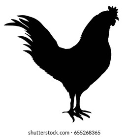 rooster silhouette, vector, illustration