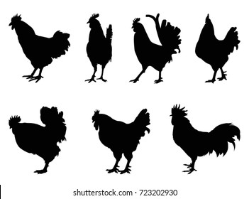 Rooster silhouette, vector illustration