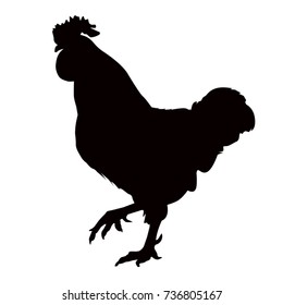 Rooster Silhouette, Vector Illustration