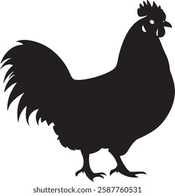 Rooster Silhouette Vector Illustration Isolated on White Background