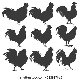 rooster silhouette. vector. Isolated on a white background.