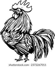 Rooster silhouette vector, poultry chickens roosters vector