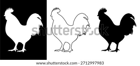 Rooster Silhouette Vector Set Black, White, and Outline Illustrations on Contrasting Backgrounds