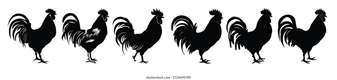 Juego de Vector Rooster Silhouette Gallo Silhouettes Cock