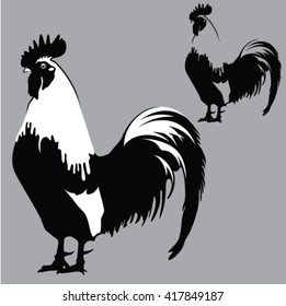 Rooster Silhouettes on isolated background