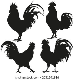 Rooster silhouettes set. Vector illustration.