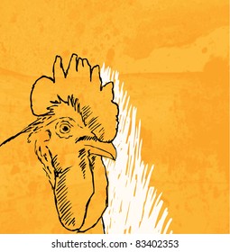 rooster sketch on grunge background