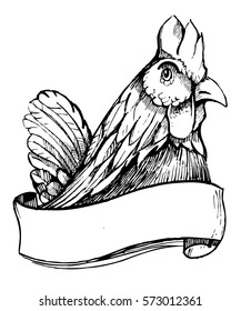 Rooster sketch. Vector illustration