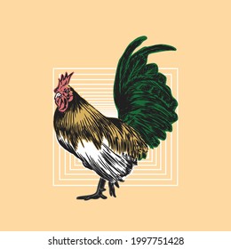 Rooster with Square Vintage Retro illustration, Picture of a rooster with a mix of retro style and line art ,perfect for a wall hanging or poster