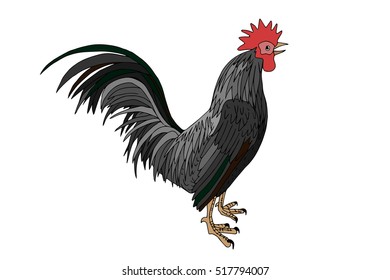 The Rooster, the symbol of 2017 is going to crow