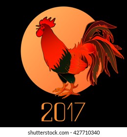 Rooster symbol of Chinese New Year. Vector illustration.