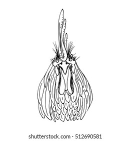 Rooster. Symbol of Chinese New Year 2017. Hand drawn illustration of cock in sketchy style.