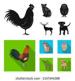 Rooster, tiger, deer, owl and other animals.Animals set collection icons in black, flat style vector symbol stock illustration web.