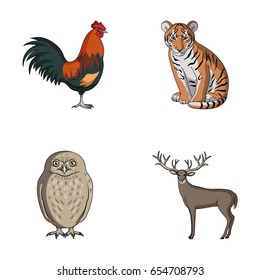 Rooster, tiger, deer, owl and other animals.Animals set collection icons in cartoon style vector symbol stock illustration web.