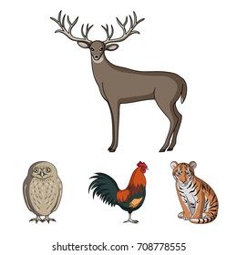 Rooster, tiger, deer, owl and other animals.Animals set collection icons in cartoon style vector symbol stock illustration web.
