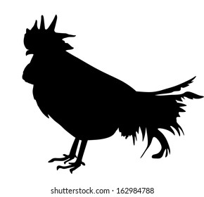 Rooster vector black silhouette, isolated on white background.