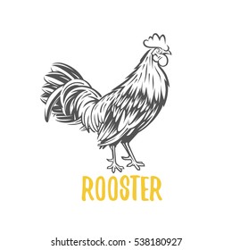 Rooster. Vector element for design, logotype and illustrations.