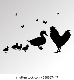 rooster vector farm cock chicken illustration animal bird poultry design symbol