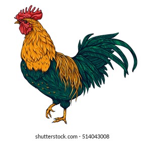 Rooster. Vector illustration