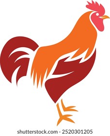 Ilustración vectorial de gallo en estilo de dibujos animados, Imagen aislada sobre fondo blanco