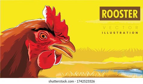 Ilustración vectorial de gallo. dibujo de cara de pollo 