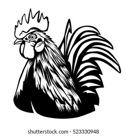  Rooster vector illustration. Graphics, handmade drawing Rooster. Vintage engraving style.  Isolated chicken bird on a white.