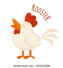 Rooster Vector illustration isolated