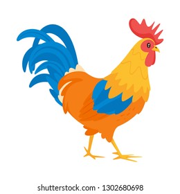 Rooster vector illustration isolated on white background.