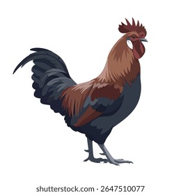 Ilustração do vetor do galo - corpo inteiro do perfil lateral no fundo branco, ilustração do vetor 2D