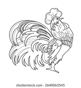 rooster vector illustrations. draw. outline. easy to edit
